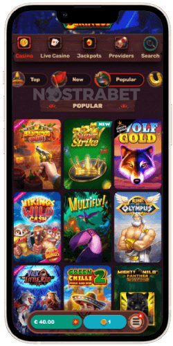 5gringos-mobile-website-version